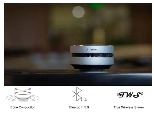 TWS Wireless Audio Bluetooth Speaker