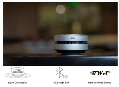 TWS Wireless Audio Bluetooth Speaker